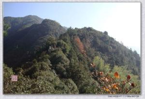 鹤溪八景（选）