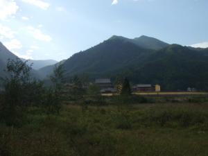 集云峰下选佛场
