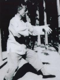 意拳