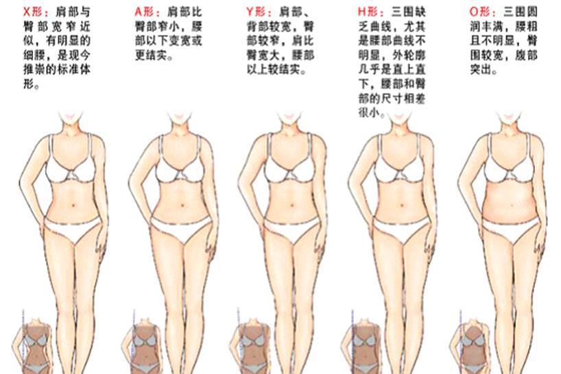 体型 搜狗百科 体型 搜狗百科