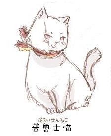 普鲁士猫
