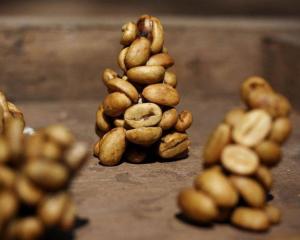 屎是怎么形成的英语 300