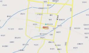 莘县
