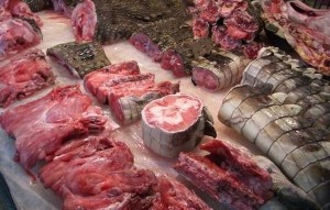 人工养殖鳄鱼肉