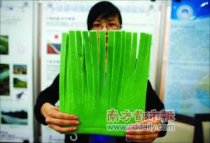 生态水草