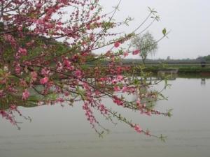 谷里街道图册