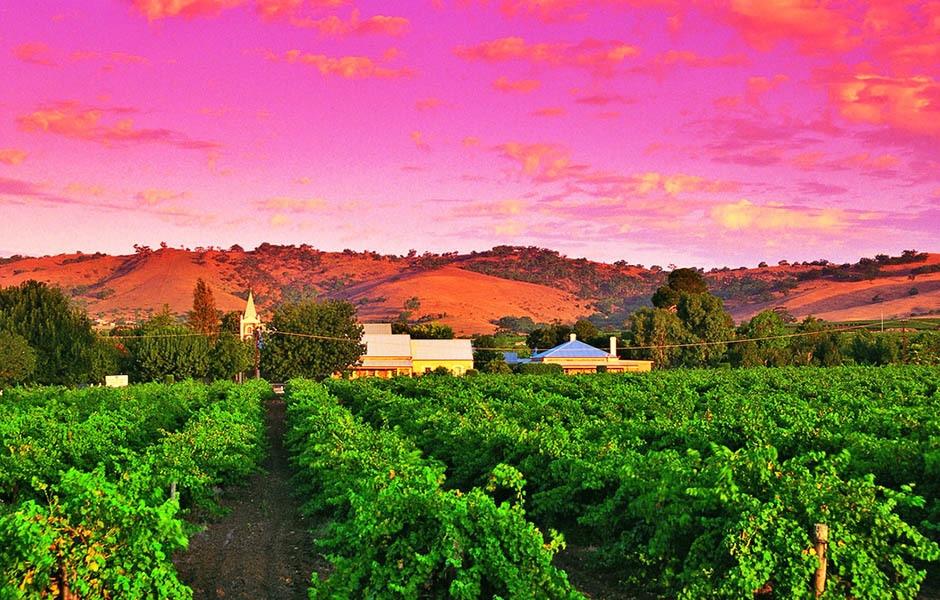 芭萝莎(barossa valley)位于南澳大利亚阿德莱德市以北100公里处,车程