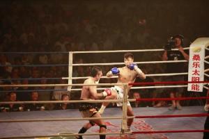 武林风2010年