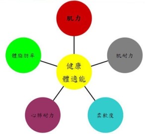 体适能