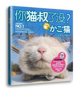 你猫叔了没