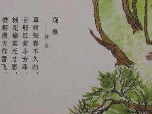 晚春