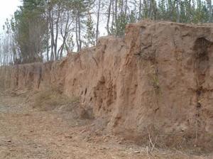兴盛屯村西北遗址