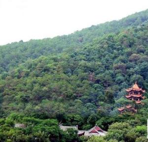 悟道佳山
