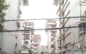 实景图