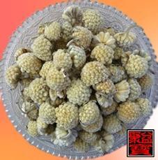 中国特产网图册