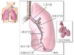肺栓塞
