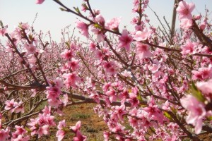 寻甸县风景 寻甸县风景