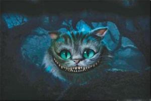 柴郡猫
