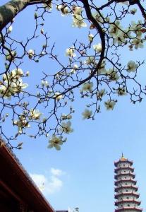 西禅寺
