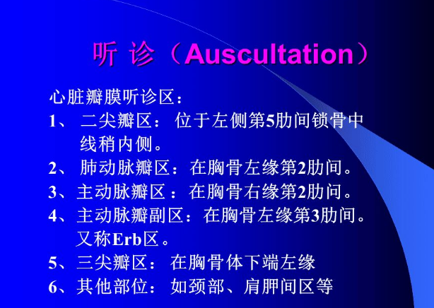 心脏听诊区