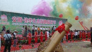 龙栖地农业生态观光园