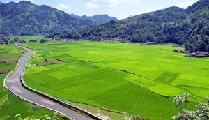 彭水县乡村风光