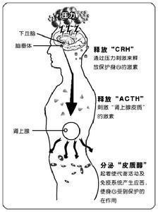 双重性格