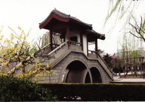 团结湖公园