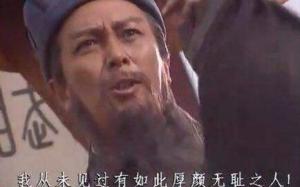 骂王朗