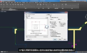 PDF 支持
