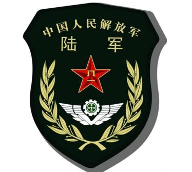 中国陆军胸标图片