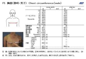 AIST人体寸法データベース1991-92