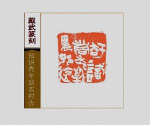 知识青年到农村去