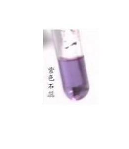 紫色石蕊试液