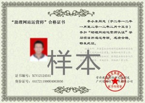 运营师 300