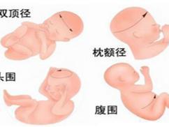 双顶径