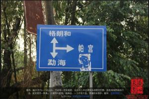 帕沙古茶树