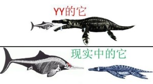 滑齿龙与大眼鱼龙