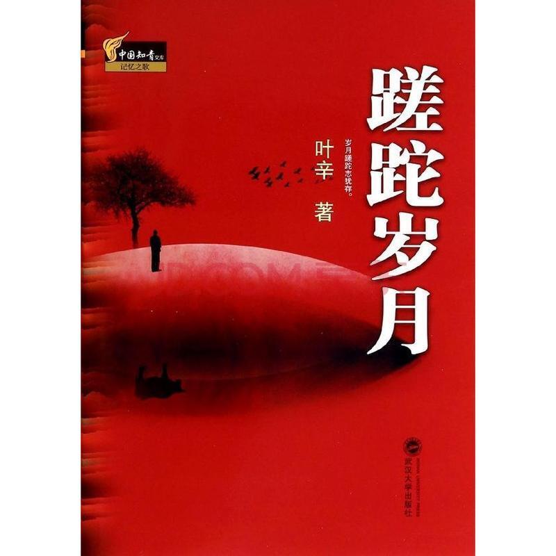 蹉跎岁月