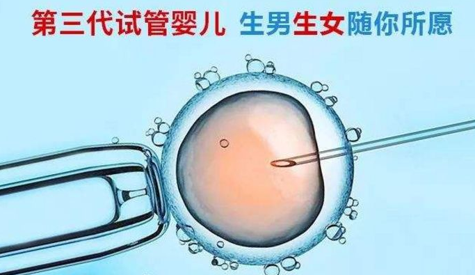 深圳试管婴儿多少钱_深圳试管大概要多少钱  第2张