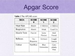 apgar评分
