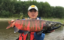 哲罗鲑