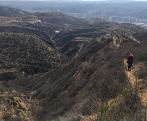 周洪山