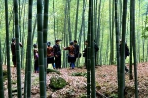 龙女沟