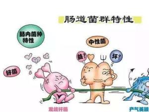 益生菌