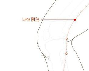 隸屬經絡足厥陰肝經出處《針灸甲乙經》目錄1功能主治2取穴方法3穴位