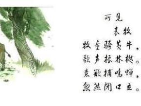所见
