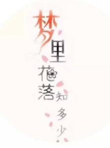 梦里花落知多少