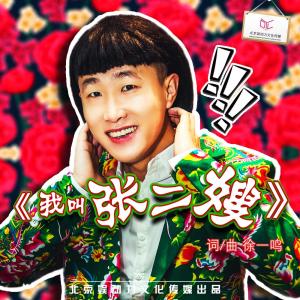 张二嫂狗年贺岁新歌《我叫张二嫂》搞笑来袭,民谣加传