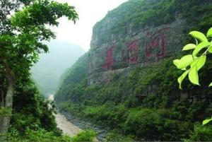习酒镇